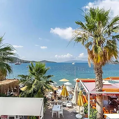 Otel Seafront House